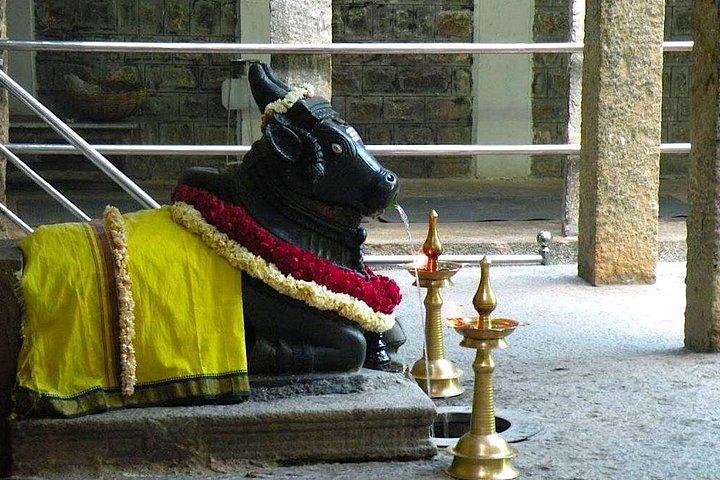 Malleswaram heritage walk, an immersive walking tour in Bangalore