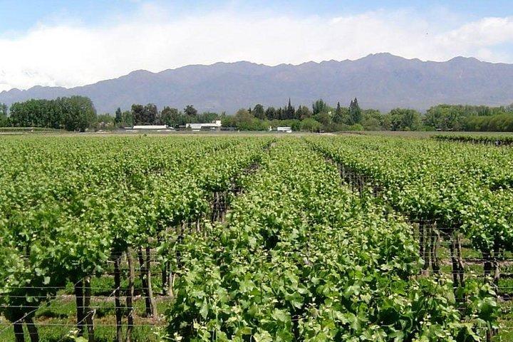 South Wine Route