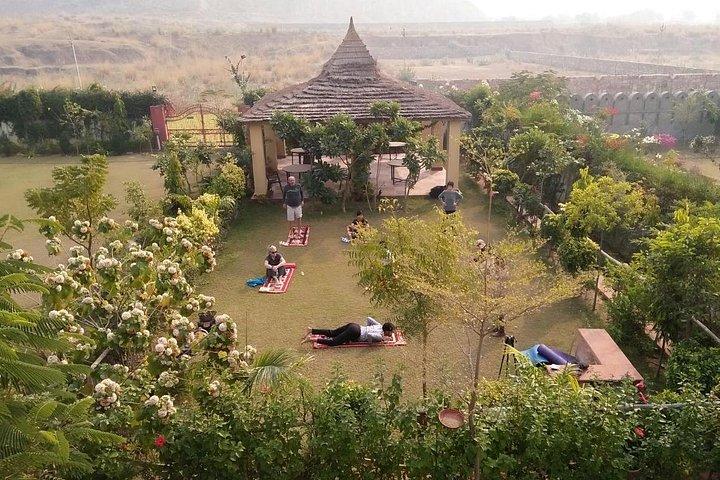 Yoga In Jaipur