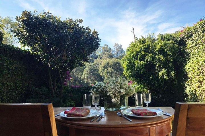 PRIVATE Mexico City Cooking Class with Culinary Historian Lucia