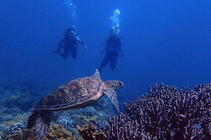 Guam's Best Shore Diving! Beginner and Advanced Dives