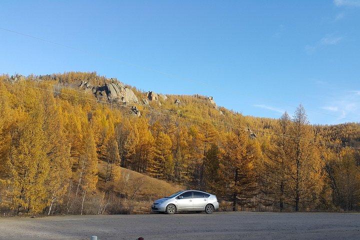 Transfer service to Terelj national park