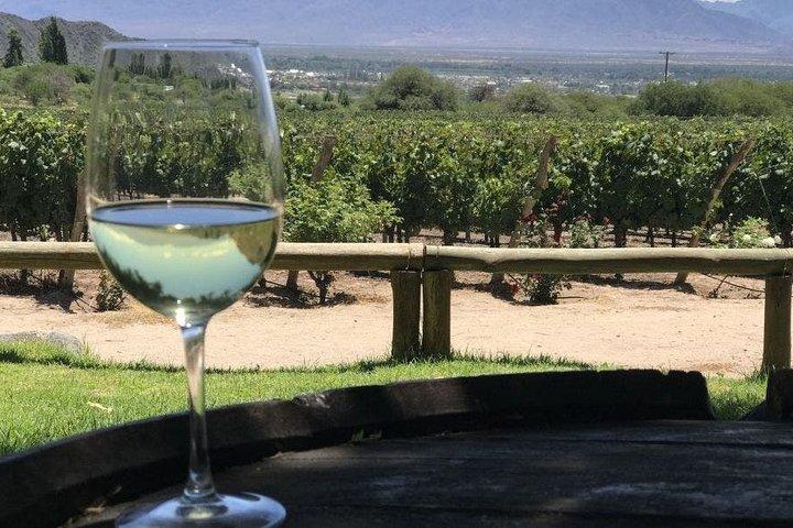 San Juan South Wine Route – Half Day Wine Experience