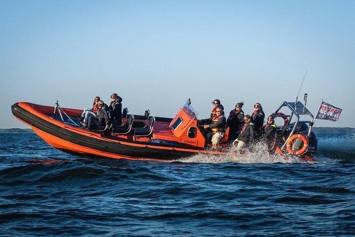 Helsinki City and Archipelago Guided RIB Boat Tour
