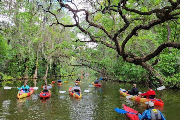 Scenic Half-Day Kayak or Paddleboard Rental – Dora Canal