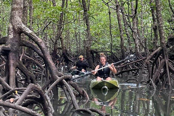 Half-Day Geopark Mangrove Kayaking Adventure