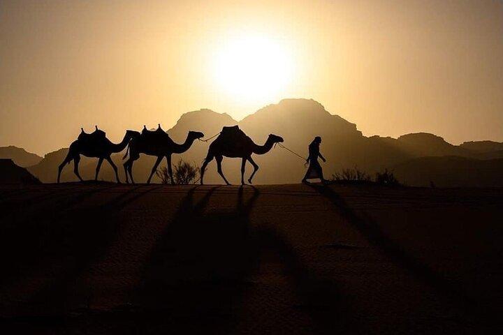 Elite Transfers : Queen Alia Airport to Any Destination in Jordan