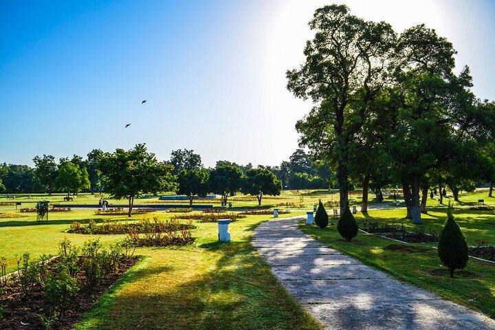 Nature Walk of Chandigarh( 2 Hours Walking Tour)