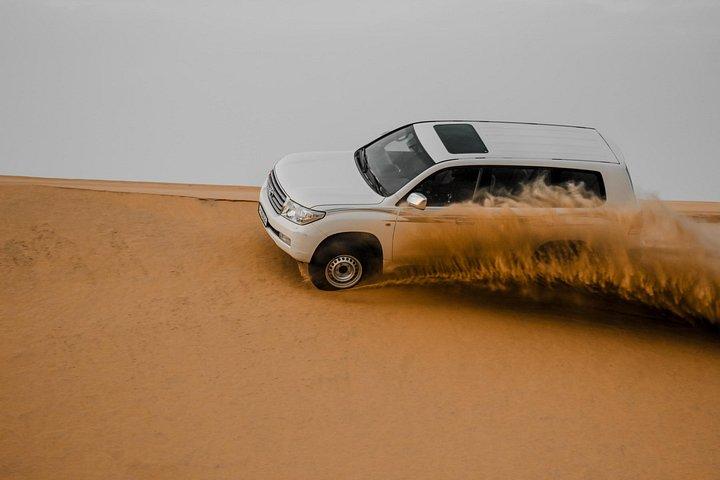 Private Doha Desert Safari and Inland Sea Tour, Best adventures