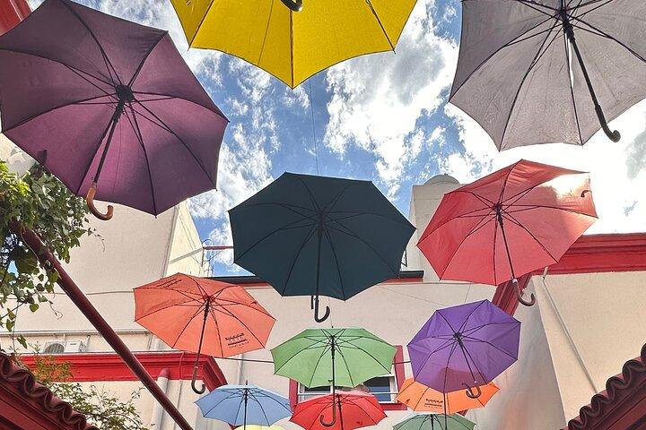 Private Walking Tour of Buenos Aires South Neighborhoods