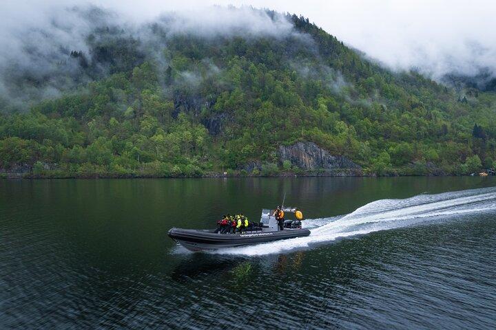 Hardangerfjord RIB Safari to Secluded Fyksesund from Norheimsund