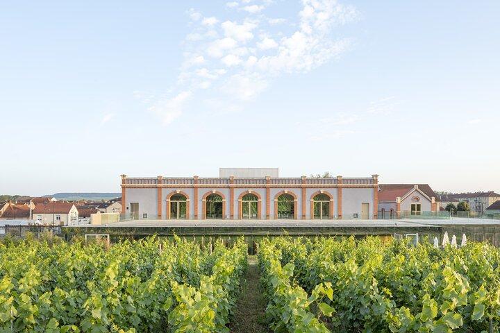 Entrance ticket to Pressoria in the heart of Champagne with Tasting