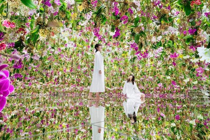 TeamLab SuperNature Macao Admission Ticket