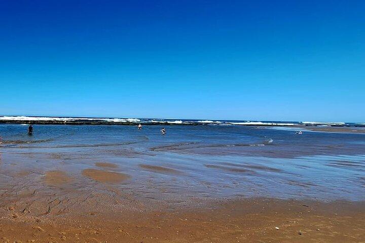 iSimangaliso 3-Hour Wildlife & Wetlands Private Group Safari