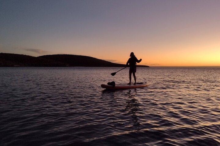 Snorkeling and Paddle Boarding Adventure in La Paz