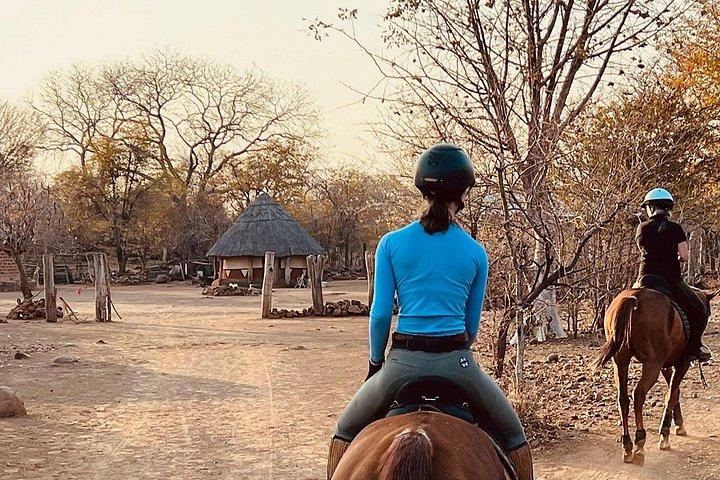 Rural Community Horse Rides – A Journey into Village Life