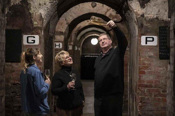 Champagne Cellar tour and tasting