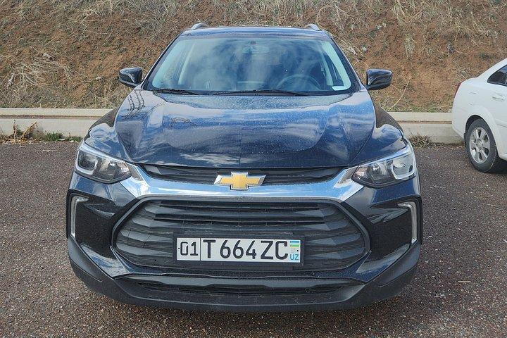 Private Transfer from Tashkent Airport to City Hotels