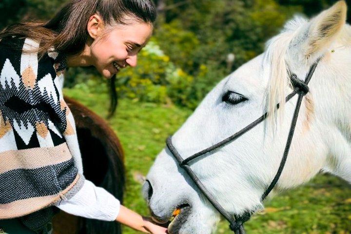 Anthropologist-Led Horseback: Moon Temple & Mysticism (Max 5)