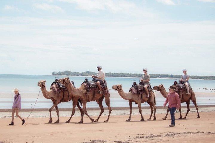 Darwin: Beach Camel Ride at Mindil Beach
