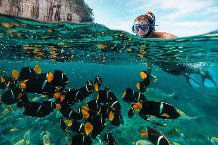 Snorkel & Epic Boat Ride to Los Arcos Sanctuary