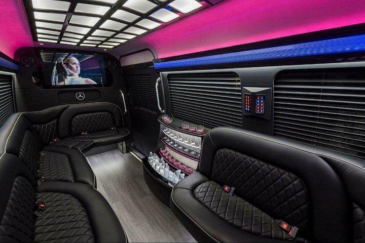 Fort Lauderdale Private Party bus, DreamRide