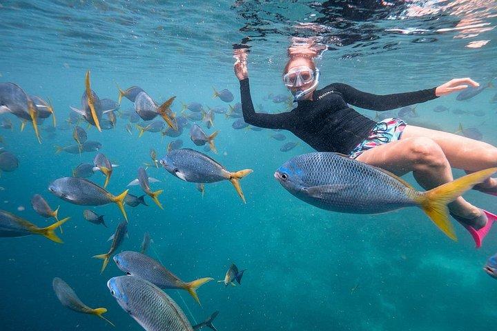 2-Hour Private Snorkelling in Maldives