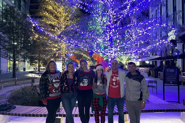 Private Tour to Christmas Winter Village, Bayshore and Hyde Park