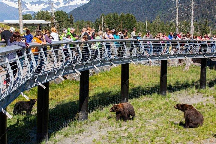 Wildlife Conservation Center and Portage Glacier Lake Viewing
