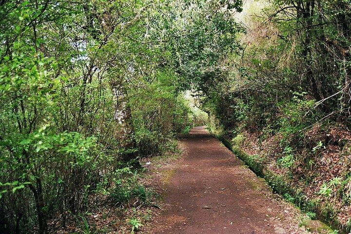Madeira Levada Paradise Valley