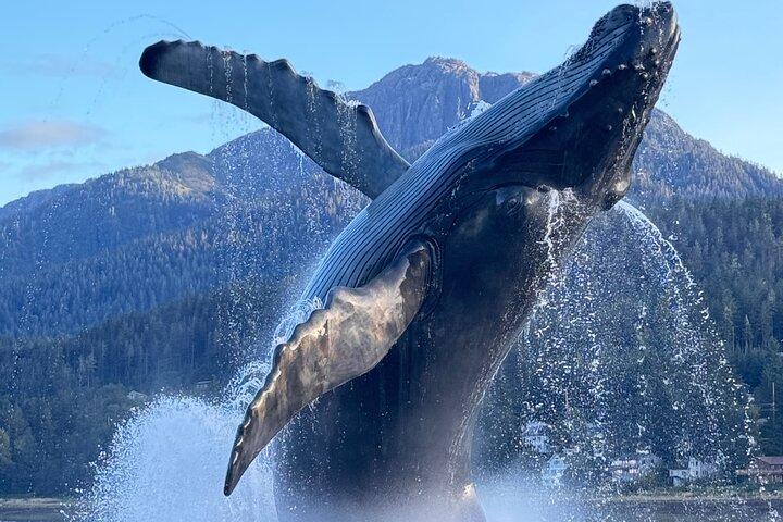 Juneau Top Sight Seeing Private Tour