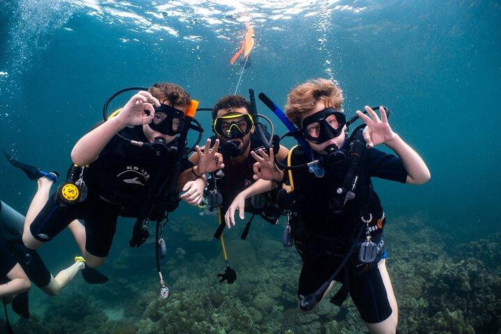 Scuba Diving Muscat – Reefs, Turtles & Marine Life