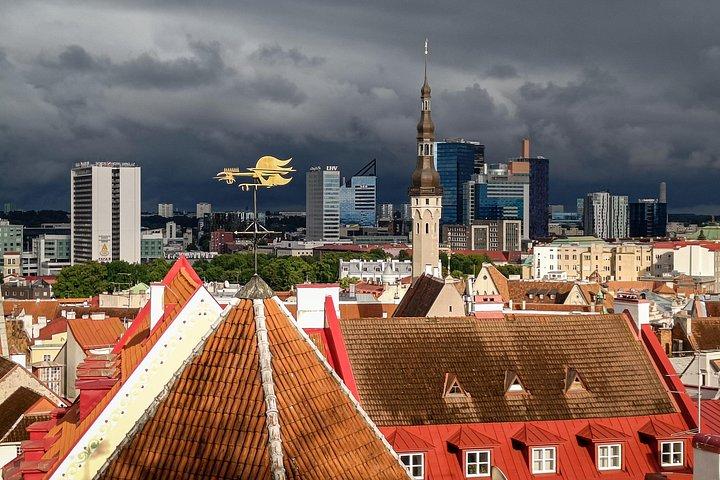 Tallinn Old Town Private Walking Tour with Native Estonian Guide