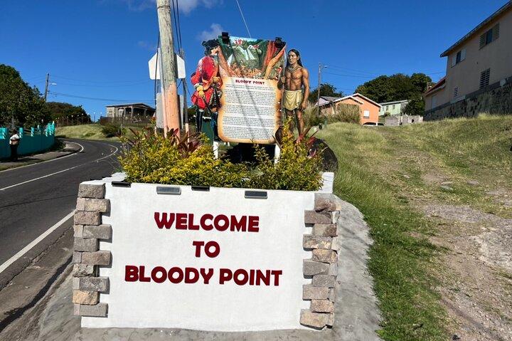 St. Kitts: Bloody Point River Hike–Petroglyphs+Bat Cave Adventure