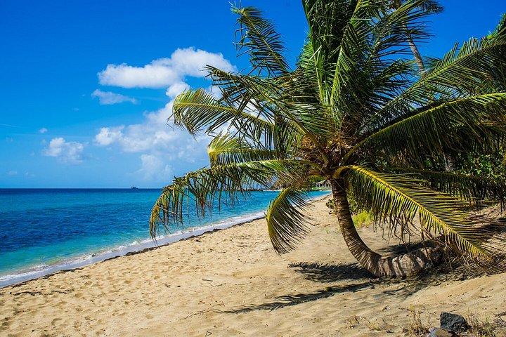 St Kitts Photography Tour with Photo Insurance