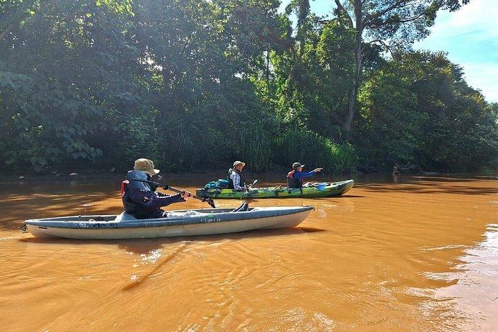 Mangrove Kayak - near Sámara & Carrillo Beach