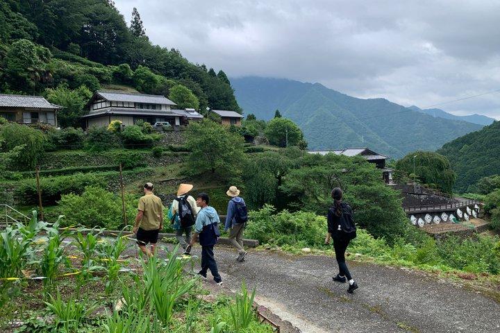 Shikoku Mountain Escape