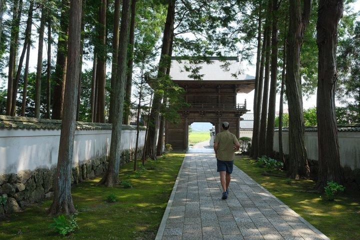 The Mindful Wayfarer