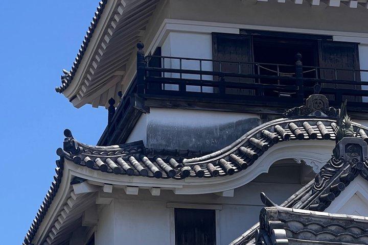 Kochi Private City Highlights Tour with Castle and Market