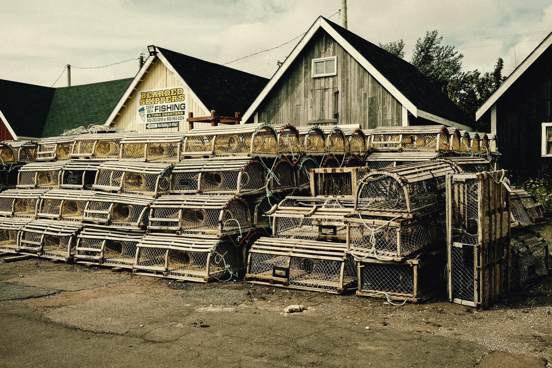 Cover Image for From Express Entry to Island Serenity: Immigrate to PEI