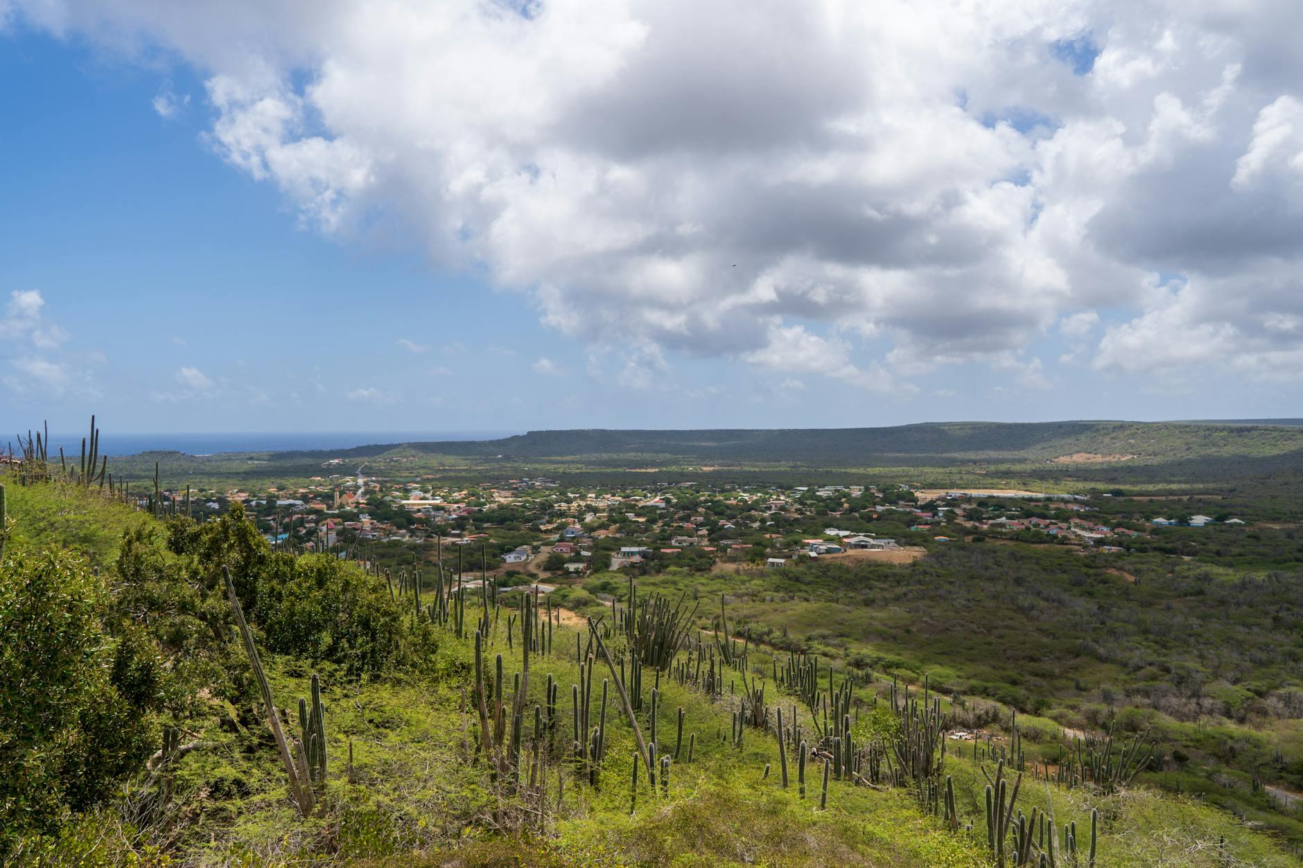 Bonaire skyline
