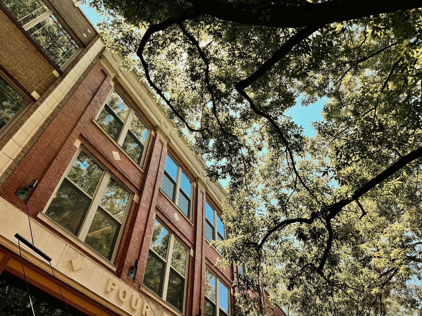 Knoxville skyline
