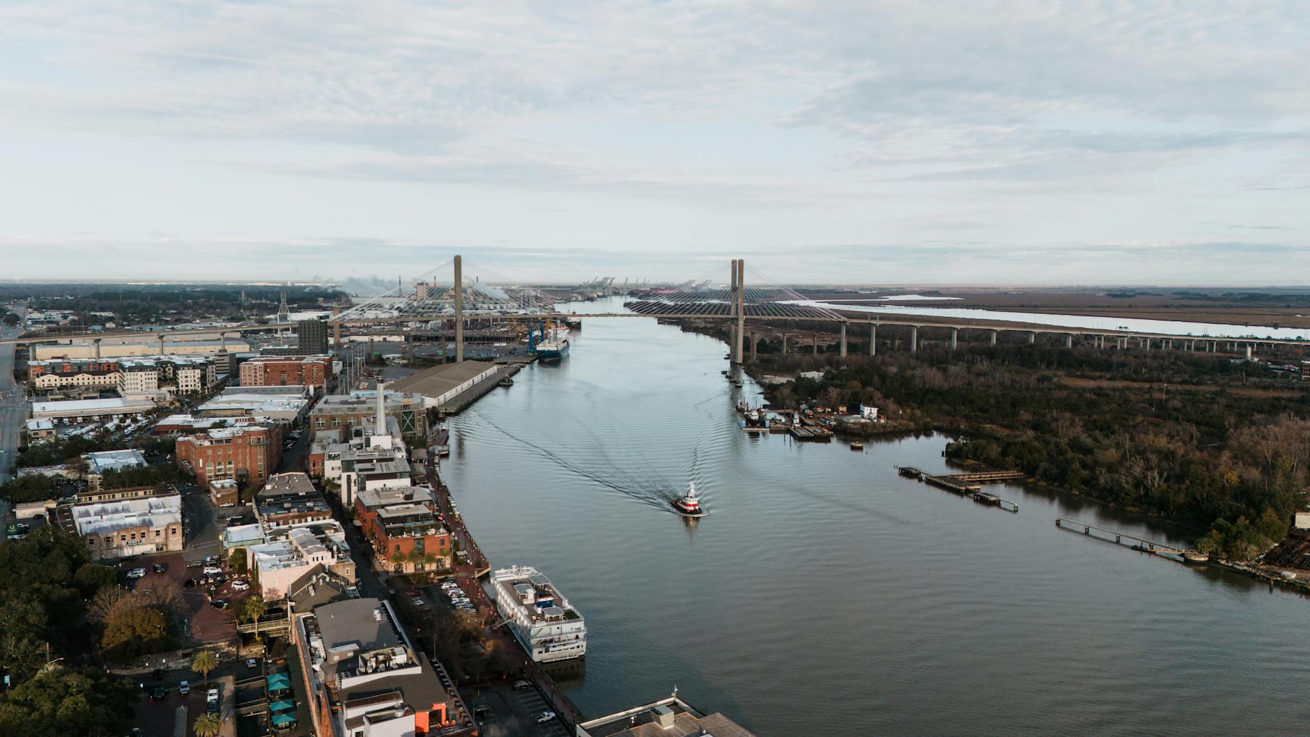 Savannah skyline